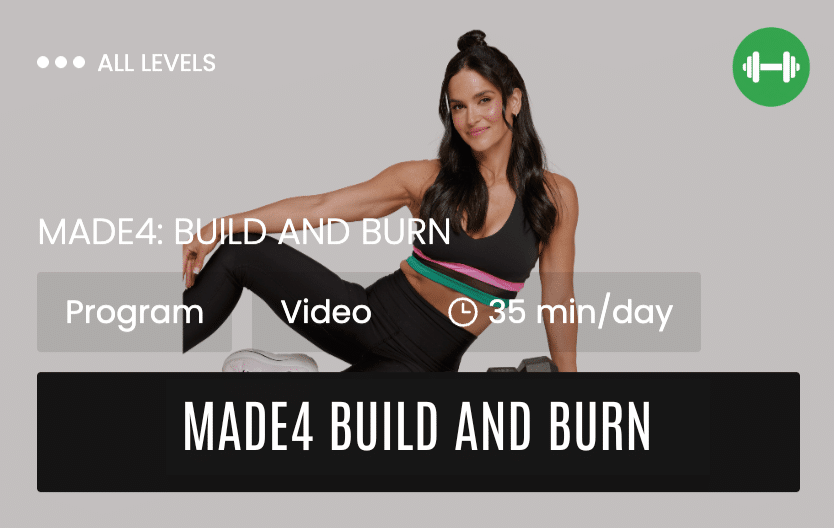 made4 build and burn